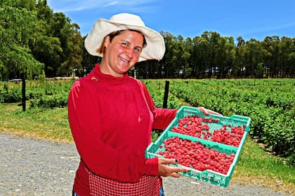 Entre el 6 y el 8 de febrero se realiza la Fiesta de la Frambuesa