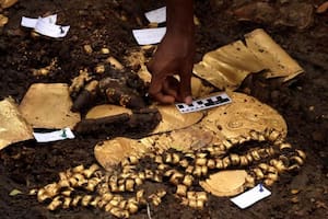 La tumba repleta de oro encontrada en Panamá que evidencia sacrificios humanos
