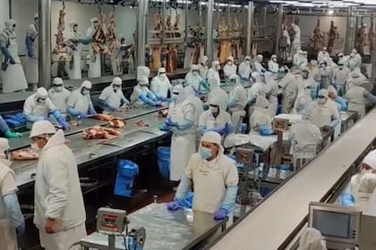 Entre las especulaciones también esta que se trate de una contaminación cruzada