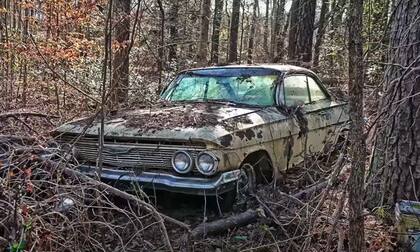 Entre las joyas encontradas había clásicos de Chevrolet y de Ford