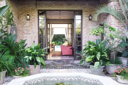 Entre las plantas del patio de adelante, hay Cycas revoluta, Strelitzia nicolai, Passiflora caerulea, lespedeza y algunas rosas en macetas. La idea es que haya flores todo el año.