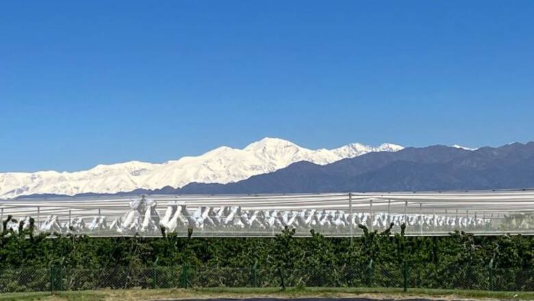 MENDOZA