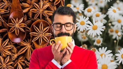 Entre los beneficios del té se destacan el alivio de problemas digestivos, el fortalecimiento del sistema inmunitario, y la mejora de la calidad del sueño y de la salud de la piel