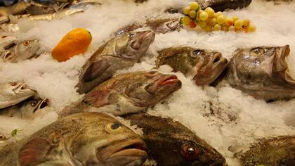 En la Argentina, 36% de los pescados distribuidos en grandes ciudades no son lo que la etiqueta dice