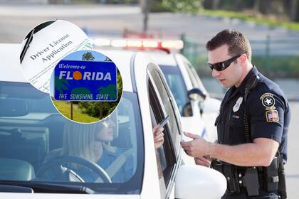 Entre los motivos más comunes de suspensión de licencias en Florida figuran multas impagas, ausencias a citaciones y acumulación de infracciones