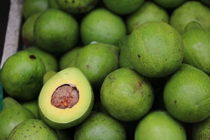 Entre los múltiples beneficios de la palta se destacan su acción antiinflamatoria y su capacidad para embellecer la piel (imagen ilustrativa)
