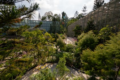 Entre los orgullos de este parque se cuenta el Jardín Nacional de Orquídeas, que cuenta con más de 3000 especies.
