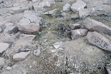 Entre los restos de los pingüinos hallaron guano fresco, algo que llamó la atención de los científicos, ya que ellos aseguran que no hubo nuevas colonias en el lugar hace cientos de años