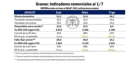"Entre los tres principales granos resta comprar y fijar el equivalente a US$14.903 millones hasta el cierre de la campaña comercial, que en el caso del trigo será noviembre de este año, en tanto que maíz se extiende hasta febrero de 2026 y soja a marzo del próximo año", dijeron