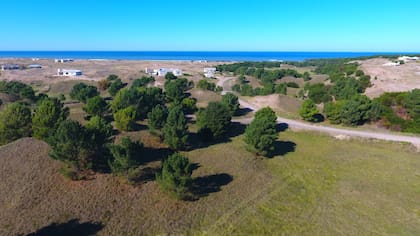 Entre otros compromisos de los vecinos, se incluye el uso responsable de los recursos naturales, la preferencia por las energías alternativas y el cuidado de la flora y fauna autóctonas (foto: Facebook de Bahía de los Moros)