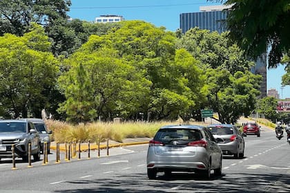 Entre otros usos, sirve para separar carriles