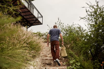 Entre plantas nativas en El Hormiguero Lofts.