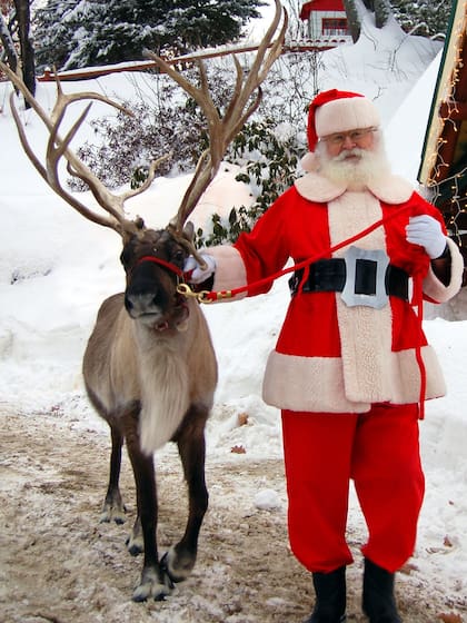 Entre sus principales atracciones se destacan el tren, la montaña rusa y foto con Santa (Instagram/@northpoleny)