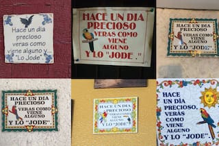 Internet. Qué cuentas tenés que seguir si querés reírte un rato