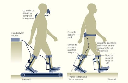 Entrenamiento de un exoesqueleto de piernas dentro del laboratorio (izquierda) y fuera, en el mundo real (derecha)