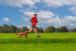 Entrenar con el perro: un estudio detectó que cuando los perros realizan actividad de manera regular se fortalce su salud