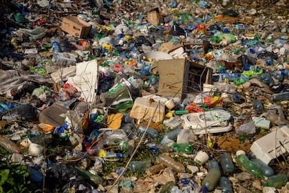 "Entres por donde entres, Matanza es un basural a cielo abierto", dice Silvia.