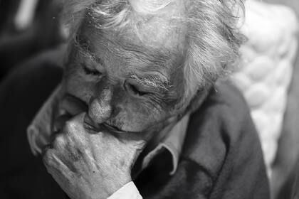 Entrevista con José Pepe Mujica, ex presidente de Uruguay en su chacra en las afueras de Montevideo