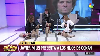 Entrevistado por Pía Shaw en Infama, al economista le consultaron si prefería a los canes por sobre las personas. Sin dudar, respondió que aprecia más a los perros.