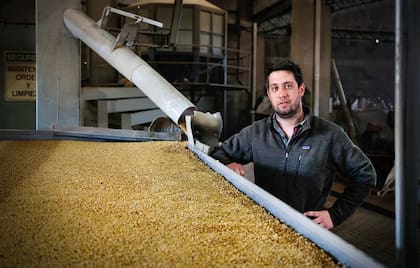 Proceso industrial: la planta de semilla fiscalizada produce 110.000 bolsas de soja por año. Además, venden el producto en toda la región