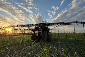El Club del Riego vuelve a salir a la cancha para ganar el partido de la producción