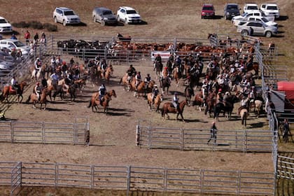 Equipos integrados por tres jinetes deberán apartar tres vacunos pasándolos desde un corral más grande a uno más chico en el menor tiempo posible.