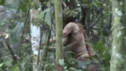 Era el último de su comunidad, se desconoce cuál era su etnia y su caso fue registrado en un extraordinario libro: tras 26 años sin contacto con humanos lo encontraron muerto en su hamaca semanas atrás