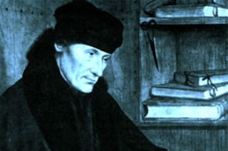 Elogios de la locura, la insensatez, la calvicie y hasta el mosquito y la mosca