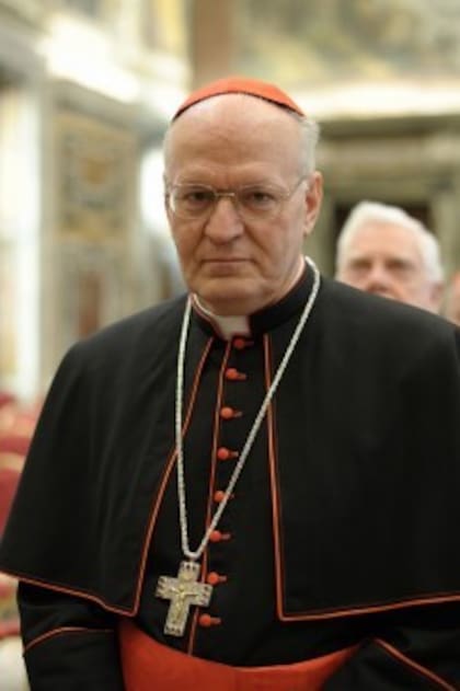 Erdő era, a los 51 años, uno de los cardenales más jóvenes de la Iglesia cuando Juan Pablo II lo elevó al Colegio Cardenalicio en 2003.