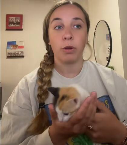 Erica muestra el día a día con su nueva gatita en redes sociales (Captura: @ilove_chickenpotpie)