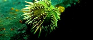 Cuando la ciencia deja de ser abstracta y se vuelve urgente