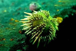 Cuando la ciencia deja de ser abstracta y se vuelve urgente