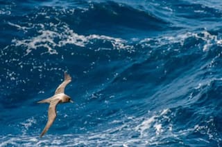 Erosión costera en Chile podría desaparecer 10 playas en una década, según científicos