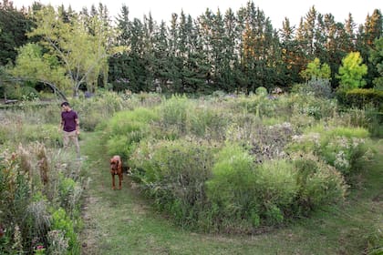 Es bueno empezar dejando zonas silvestres para observar