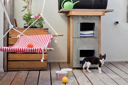 Es bueno que nuestros animales tengan juguetes que los mantengan activos: es un modo de evitar que generen sobrepeso, sobre todo si no hay mucho lugar para que corran