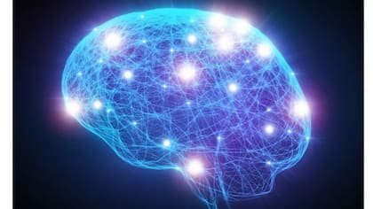 ¿Es cierto que utilizamos solo el 10% del cerebro?