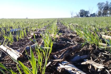 En el sector destacan que la ley de tierras sigue afectando los negocios