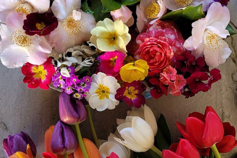 Las flores como ingrediente: un giro en la gastronomía que llega para quedarse