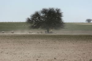 La conservación del suelo productivo, una necesidad urgente