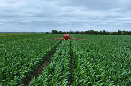 Es clave más tecnología