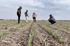 Empresas familiares rurales: cómo hacer para trascender y no abandonar