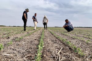 Cómo hacer para trascender y no abandonar