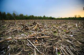 El abecé de las aplicaciones eficientes en barbechos complejos