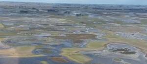 La crisis hídrica impactó en el ritmo nacional de siembra de soja y apareció una sorprendente comparación