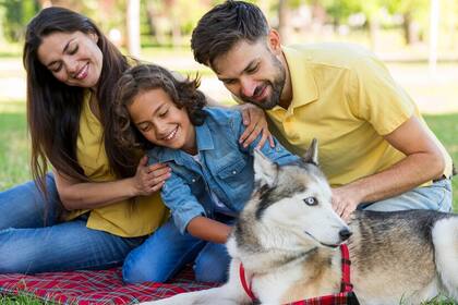Es crucial la supervisión de los niños durante el contacto con las mascotas y que aprendan a identificar las señales de incomodad