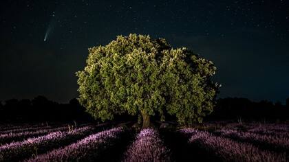 Es difícil que los cometas sean tan brillantes como para verse a simple vista
