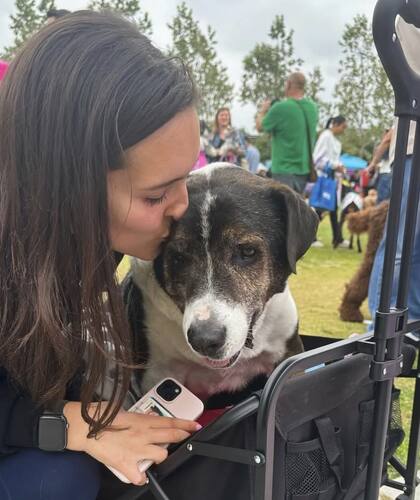 "Es el MEJOR perro. La idea de que pasara miedo o sintiera dolor cuando estaba en el refugio es devastadora", dijo Olivia.