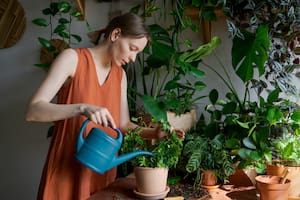 ¿Es feriado el viernes 2 de mayo?