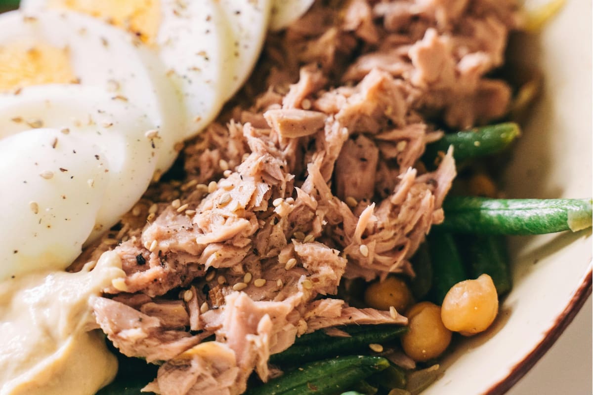 Uma fonte de proteína rica em vitamina B12 e que mantém a massa muscular em pessoas idosas Uma fonte de proteína rica em vitamina B12 e que mantém a massa muscular em pessoas idosas