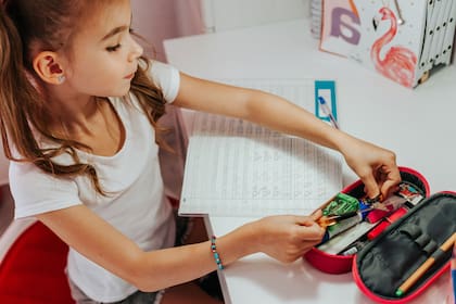 Es fundamental el rol del gobierno para garantizar que todos los niños argentinos lleguen a la escuela en condiciones de poder estudiar y aprender